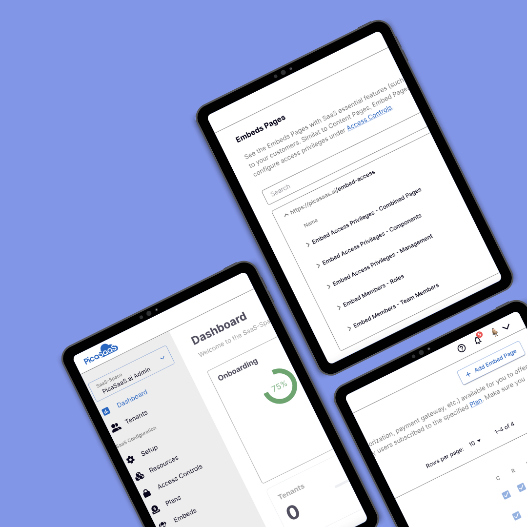 fs-portfolio-picasaas-2