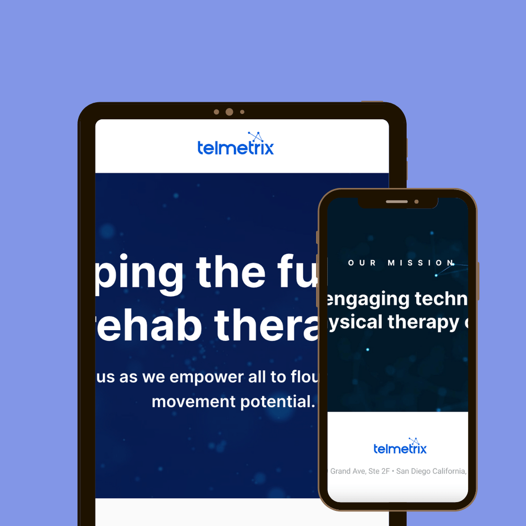 fs-portfolio-telmetrix